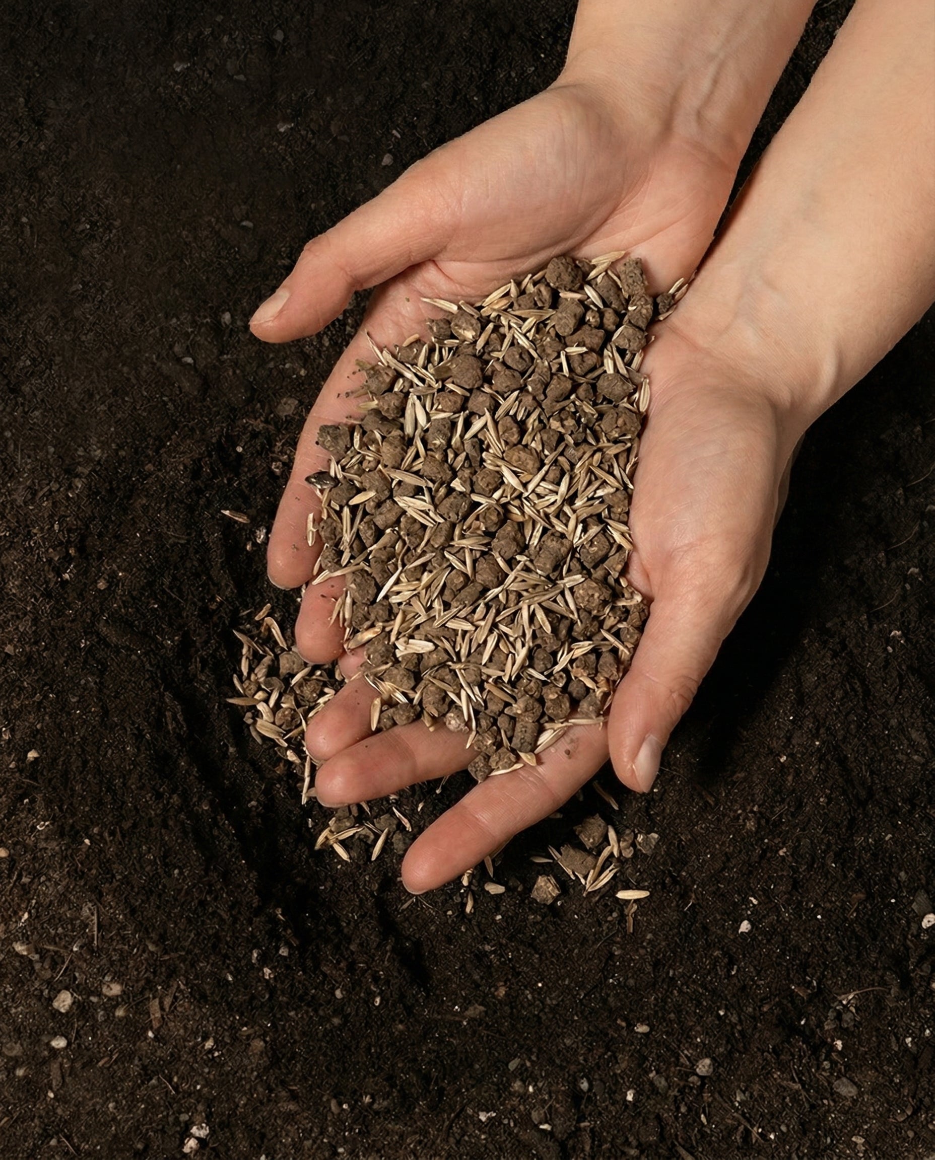 Zwei Hände halten eine Portion organisches Dünger-Granulat über dunkler Pflanzenerde