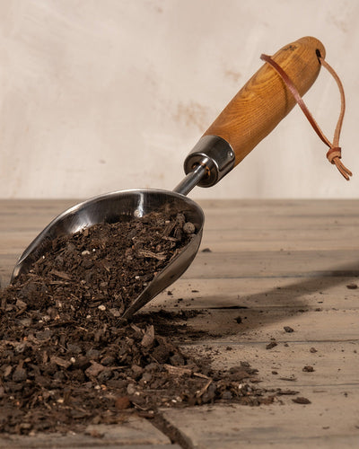 Eine metallene Gartenkelle mit Holzgriff und Lederriemen liegt auf einer Holzfläche und schüttet Erde für Balkon- & Gartenpflanzen aus ihrer Schaufel auf den Tisch. Der Hintergrund ist eine schlichte, helle Wand.