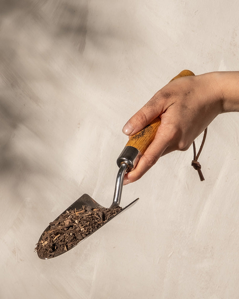 Eine Hand hält eine Gartenkelle mit Holzgriff, gefüllt mit Erde für Balkon- & Gartenpflanzen. Der Hintergrund ist eine helle, strukturierte Oberfläche mit weichen Schatten.