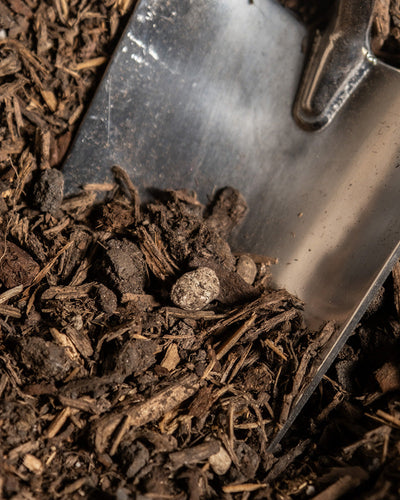 Eine Nahaufnahme einer Metallkelle in einem Haufen Mulch und Erde, die eine Mischung aus kleinen Holzspänen und organischem Material zeigt. Die Kelle ist teilweise vergraben und abgewinkelt, was darauf hindeutet, dass Garten- oder Landschaftsbauarbeiten mit Erde für Balkon- & Gartenpflanzen im Gange sind.