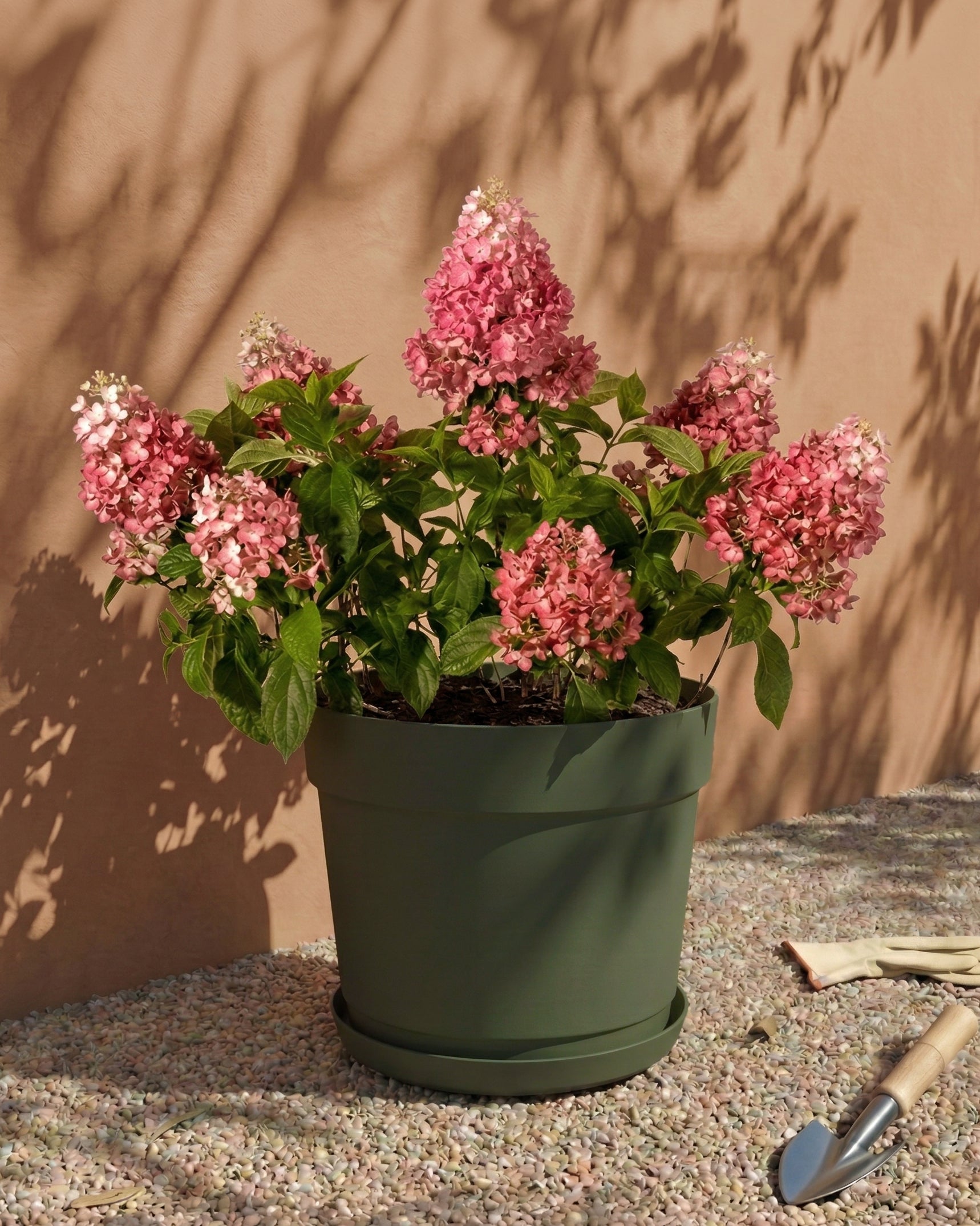 Im Kunststoff Pflanzkübel (Bloom | 38 cm Ø) aus recyceltem Kunststoff wächst eine rosa blühende Hydrangea. Der grüne Topf steht auf Kies vor einer pfirsichfarbenen Wand, neben Gartenspaten und Handschuhen.