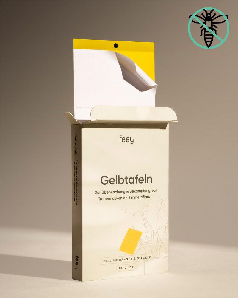 Eine beigefarbene Schachtel mit der Aufschrift „Gelbtafeln“ steht offen und enthält gelbe Klebefallen. Sie eignet sich ideal zur Beobachtung oder Bekämpfung von Trauermücken und Schädlingen an Zimmerpflanzen. Die Schachtel steht in sanftem Licht und wirft einen sanften Schatten.