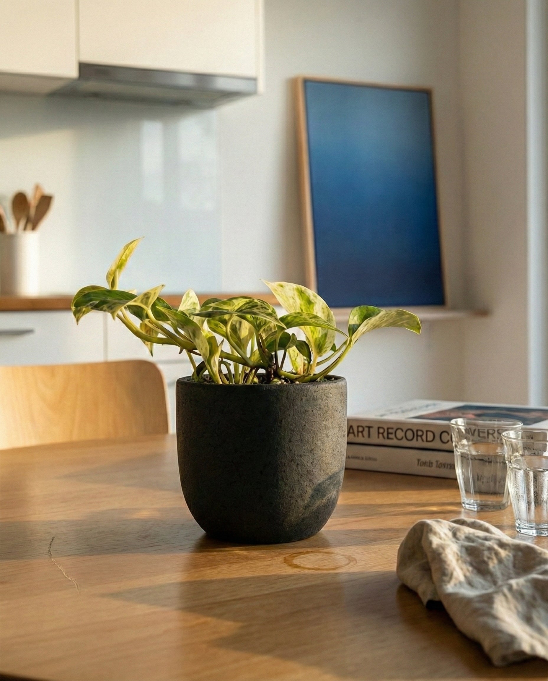 Eine Efeutute 'Marble Queen' - feey sitzt auf einem hölzernen Küchentisch mit zwei Gläsern, einem gefalteten Tuch und Büchern in der Nähe. Ein großes blaues Gemälde im Hintergrund vervollständigt diese pflegeleichte Dekorszene.