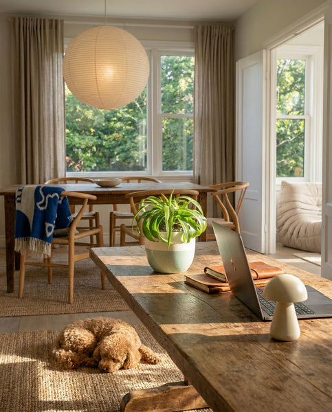 Ein gemütliches, sonnendurchflutetes Esszimmer mit Holzmöbeln und einem Tisch, auf dem ein Laptop, ein Notebook, eine Lampe und eine üppige Grünlilie 