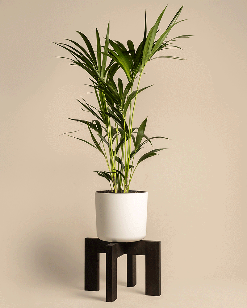 Pflanzenständer (Heviton | 37 cm Ø)