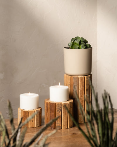 Zwei weiße Kerzen auf Holzständern verbreiten ein warmes Licht. Rechts sitzt eine Haworthia retusa in einem Topf anmutig auf einem höheren Ständer. Der Hintergrund ist eine strukturierte beige Wand, die durch verschwommene Pflanzen im Vordergrund sanft ergänzt wird.