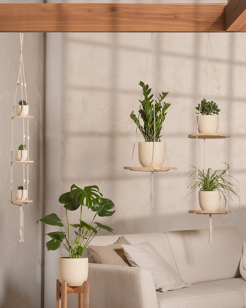 Im Innenbereich schmücken Hängepflanzen in weißen Töpfen Makramee-Regale, während eine üppige Monstera und das Homeoffice Pflanzen-Set neben einem beigen Sofa lebendige Akzente setzen. Sanftes Tageslicht wirft sanfte Schatten auf die strukturierte Wand und schafft eine ruhige Atmosphäre.