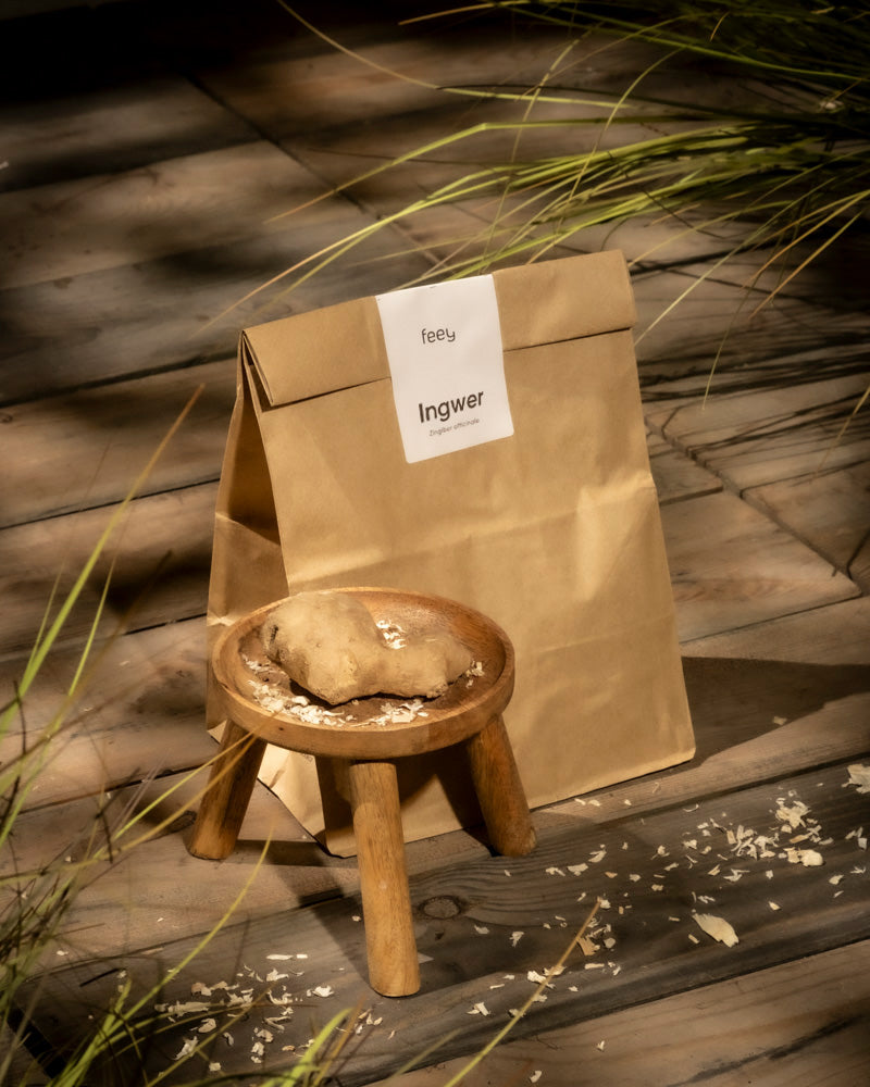 Eine braune Papiertüte mit der Aufschrift „Ingwer“ liegt auf einer Holzoberfläche neben einem kleinen Hocker, auf dem ein Ingwer-Rhizom und -Späne liegen, während grüne Pflanzen die Szene einrahmen und Schatten werfen.