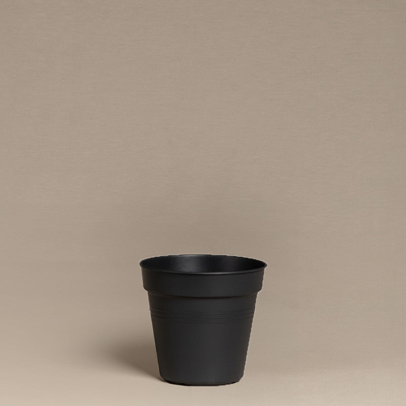 Innentopf (10.5 cm ⌀)