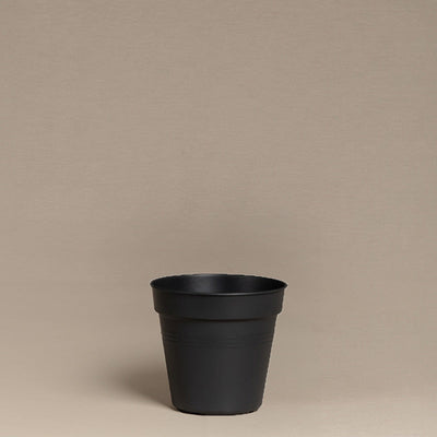 Innentopf (10.5 cm ⌀)