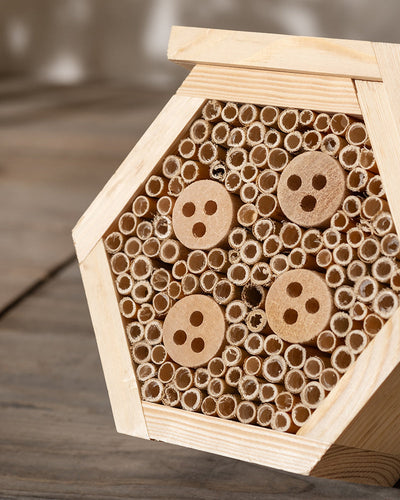 Das Insektenhotel 'Forsisens' ist eine sechseckige Holzkonstruktion, die mit zahlreichen kleinen, hohlen Bambusröhren und mehreren runden Holzscheiben mit Löchern unterschiedlicher Größe gefüllt ist. Auf einer Holzoberfläche platziert, bietet es einen gemütlichen Lebensraum für Wildbienen in Ihrem Garten.