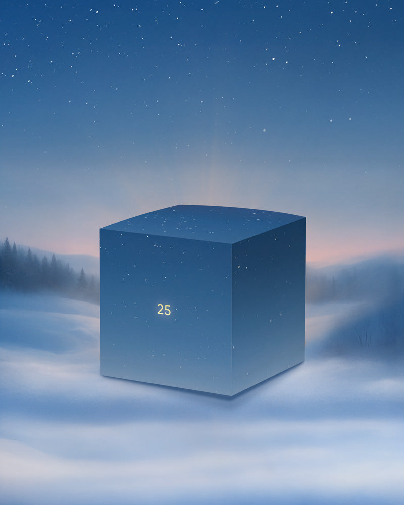 Adventskalender-Türchen Nr. 25, ein großes blaues Würfelchen, steht in winterlicher Landschaft mit Bäumen und Sternenhimmel - ideal als Geschenk und für festlichen Weihnachtszauber.