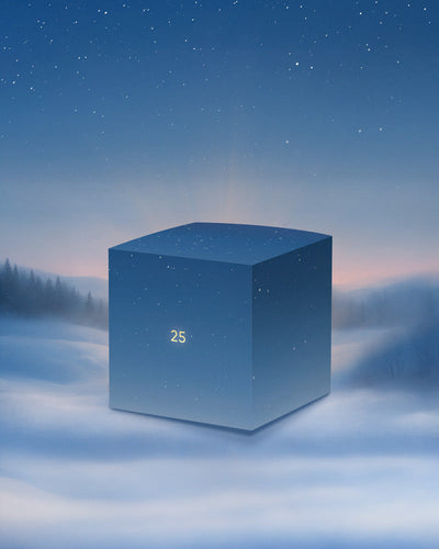 Adventskalender-Türchen Nr. 25, ein großes blaues Würfelchen, steht in winterlicher Landschaft mit Bäumen und Sternenhimmel - ideal als Geschenk und für festlichen Weihnachtszauber.