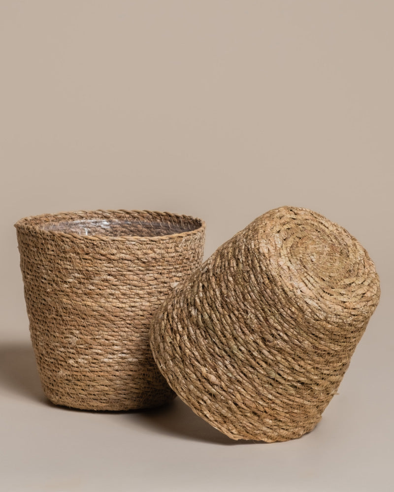 Zwei Pflanzkörbe aus Seegras (Kesat | 16 cm ⌀) sind auf einem neutralen Hintergrund abgebildet - einer steht aufrecht, der andere liegt umgekippt - und heben so ihre natürliche Faserstruktur hervor.