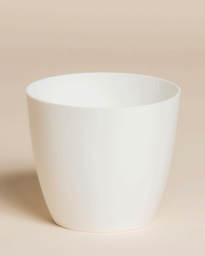 Der Kunststoff-Topf (Kiki | 11 cm Ø) ist ein schlichter, weißer, zylindrischer Kunststofftopf mit glatter Oberfläche und leicht verjüngter Form, ideal, um Ihrem Raum mit Ihrem Lieblingspflänzchen einen Hauch von Zuhause zu verleihen.