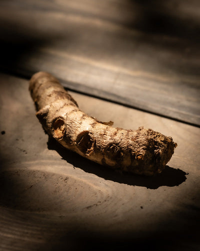 Ein strukturiertes Stück Kurkuma liegt auf einer Holzoberfläche, getaucht in warmes, fokussiertes Licht, das weiche Schatten wirft. Die raue, knorrige Schale des Superfoods zeigt komplizierte Muster und natürliche Rillen.