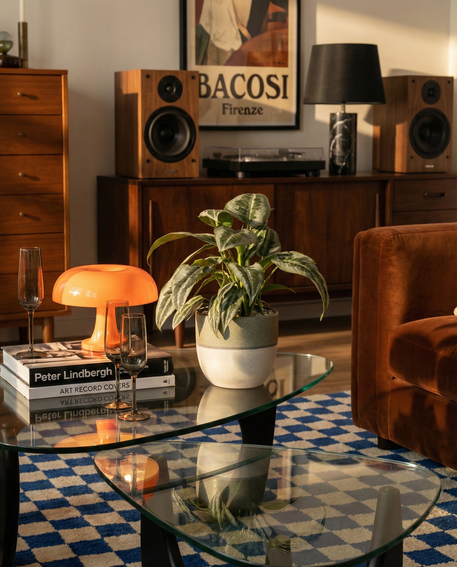 Schismatoglottis 'Silver Indukan' • feey