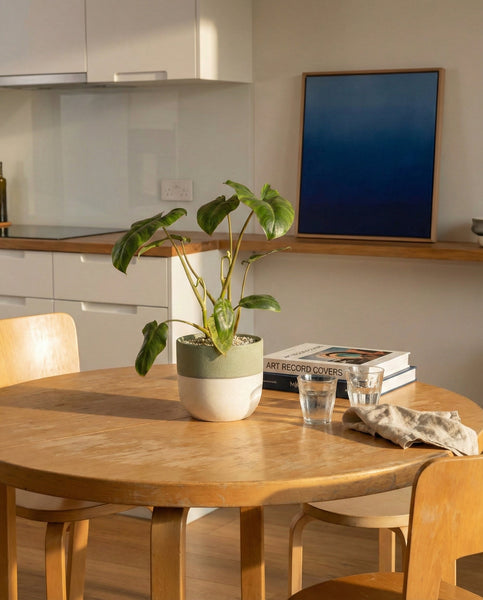 Auf einem sonnenbeschienenen Esstisch aus Holz stehen ein Philodendron 'Paraiso Verde' von feey, zwei Gläser, eine gefaltete Serviette und gestapelte Bücher. Helle Holzstühle umgeben den Tisch, im Hintergrund steht eine minimalistische Kücheneinrichtung.