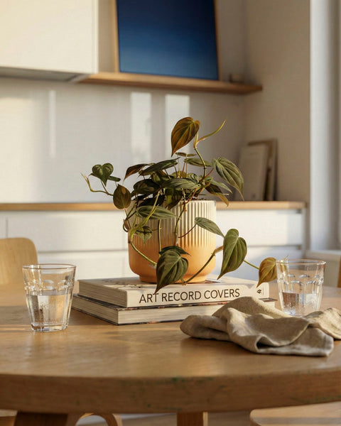 Ein Philodendron micans - feey mit samtigen Blättern sitzt auf gestapelten Büchern wie 