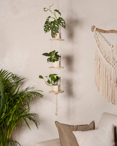 An der Wand neben einem Wandregal hängt ein Hängetopf mit drei kleinen grünen Topfpflanzen. Rechts ist der Makramee-Hänger Floaty (3er) leicht zu erkennen. Darunter steht eine grüne Pflanze in der Ecke neben einem beigen Sofa mit braunen und beigen Kissen vor einer neutralen Wand.