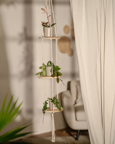 Der Makramee-Hänger Floaty (3er) präsentiert drei Ebenen mit jeweils Babypflanzen. Dieses seilbespannte Pflanzenregal wertet einen sonnendurchfluteten Raum auf, in dem ein verschwommener Sessel und dezente Wanddekoration die natürliche Note unterstreichen.