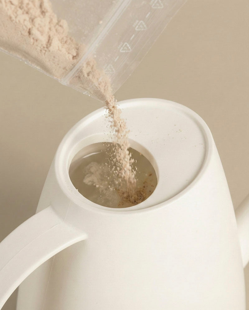 Eine weiße Gießkanne ist mit beigefarbenem Pulver aus einem Plastikbeutel gefüllt - wahrscheinlich Nematoden gegen Trauermücken