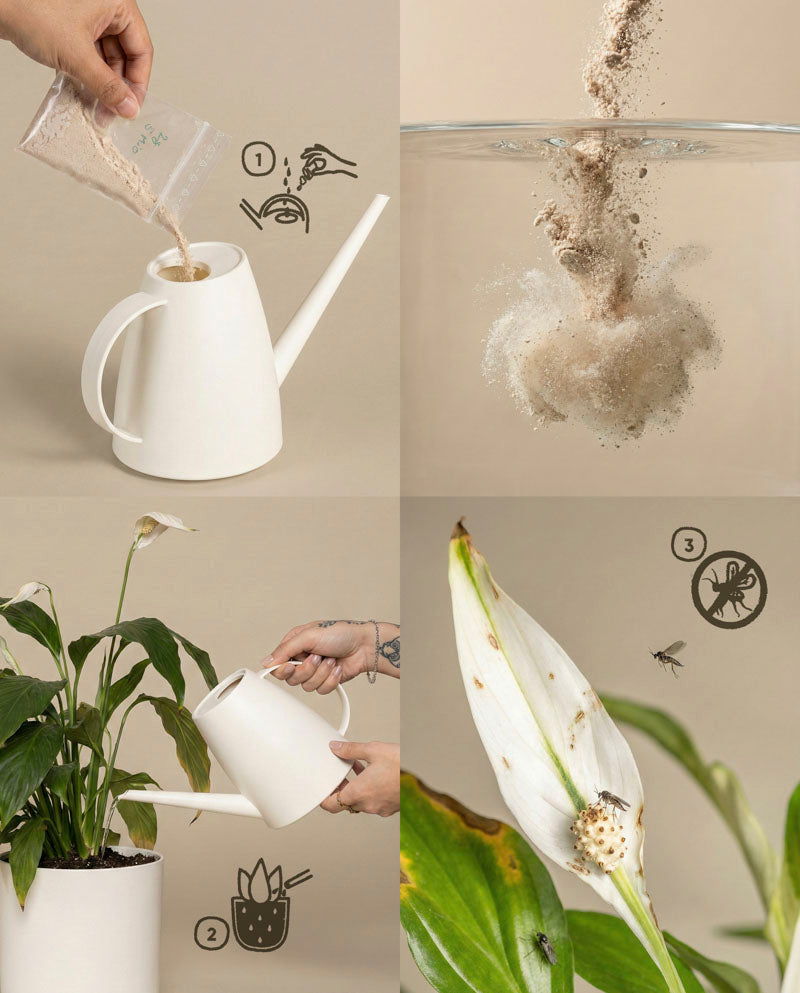 Eine vierteilige Abbildung zeigt Nematoden gegen Trauermücken-Pulver, das in eine weiße Gießkanne geschüttet wird, sich in Wasser auflöst und auf blühenden Zimmerpflanzen angewendet wird, sowie eine Nahaufnahme von Trauermückenschäden. Jeder Schritt ist mit handgezeichneten Symbolen hervorgehoben.
