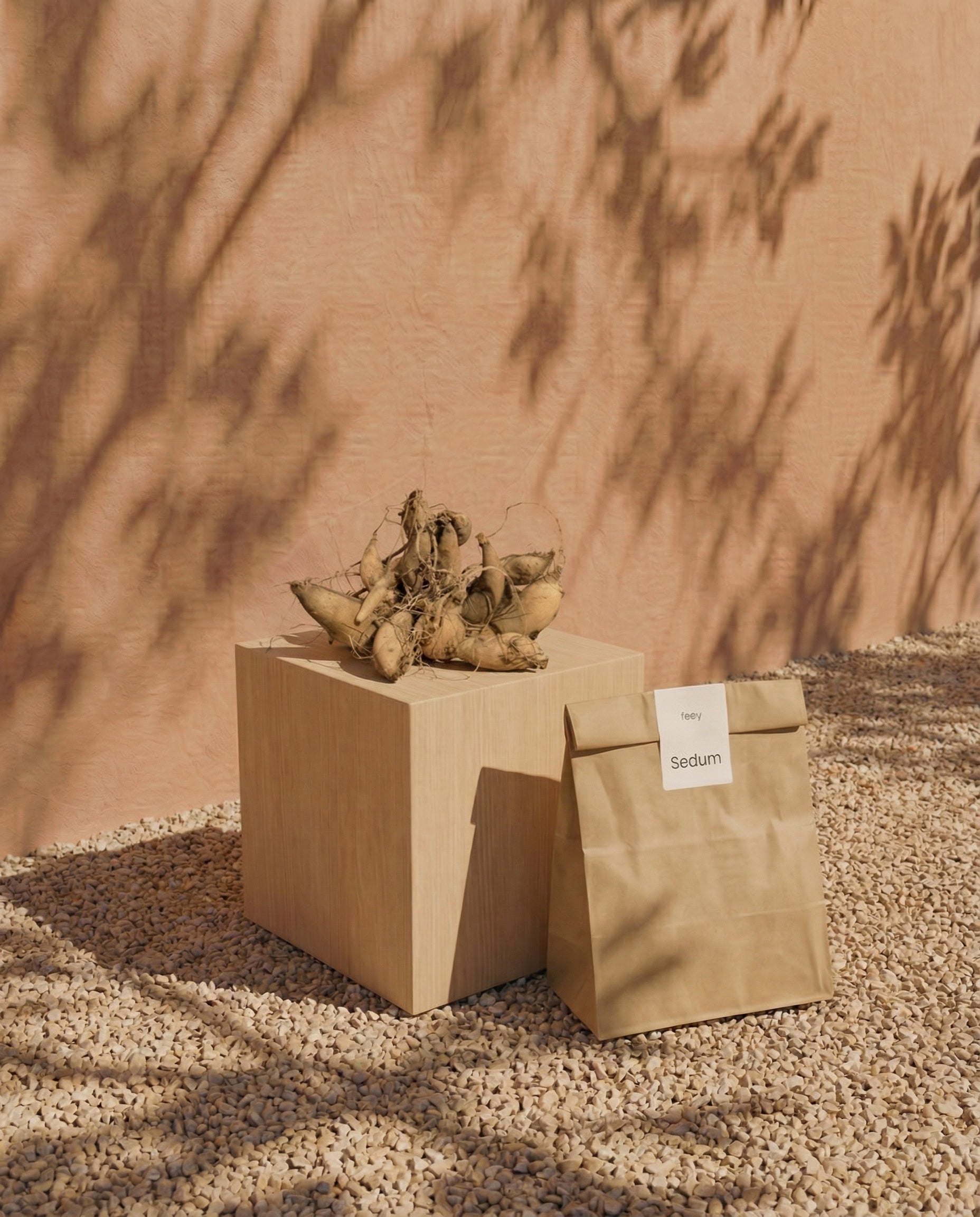 Ein beiger Würfel enthält getrocknete Knollen von Sedum (rosa). Daneben liegt eine braune Papiertüte mit der Aufschrift 