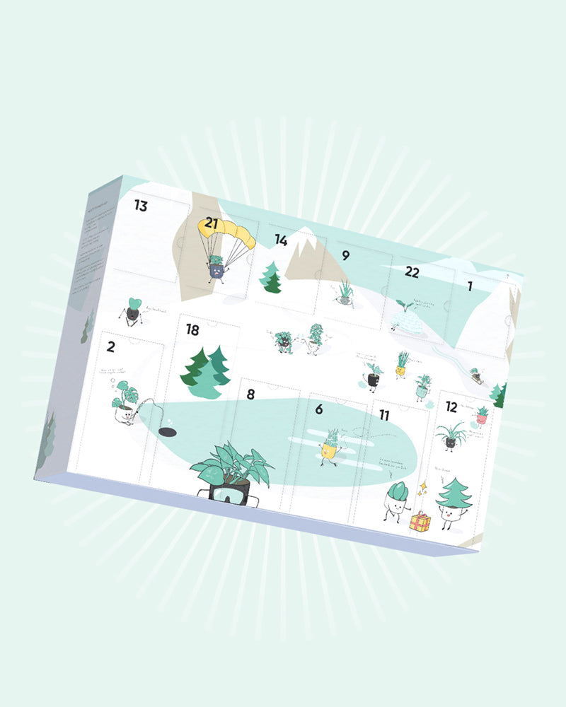 Adventskalender von feey mit echten Pflanzen