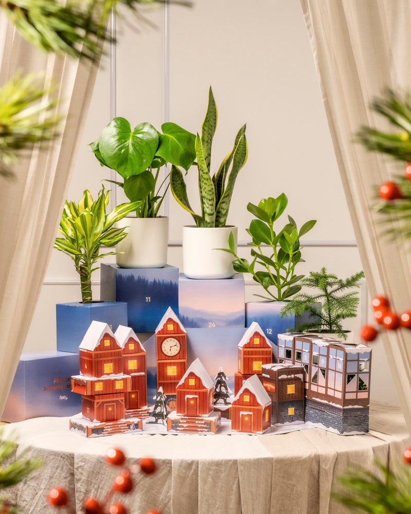 Der Pflanzen-Adventskalender (Dschungel-Version) auf blauen Kartons, umgeben von beleuchteten Miniatur-Papierhäuschen, immergrünen Bäumen, roten Beeren und Grünzeug, sorgt für eine gemütliche Atmosphäre.