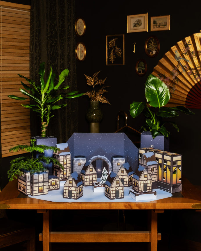 Ein Winterdorf im Miniaturformat zeigt ein winterliches Dorf mit kleinen, mit Lichtern geschmückten Häusern, flankiert von zwei echten Pflanzen aus dem Pflanzen Adventskalender. Im Hintergrund zieren dekorative Rahmen, ein Fächer und eine Vase die dunkle Wand. Die Szene strahlt eine gemütliche, festliche Atmosphäre aus, die an einen Adventskalender erinnert.