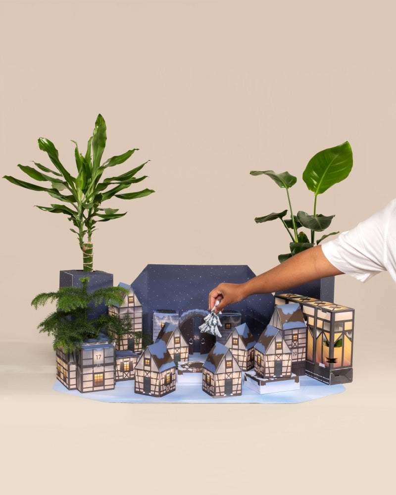 Eine Person arrangiert einen Miniatur-Weihnachtsbaum auf einer dekorativen Ausstellung aus kleinen, beleuchteten Papierhäusern und bastelt so ein entzückendes Winterdorf. Die Szene wird durch zwei Topfpflanzen aus dem Pflanzen-Adventskalender bereichert, die vor einem neutralen Hintergrund Charme und Wärme verleihen.