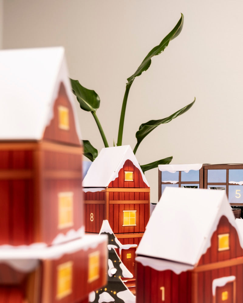 Rote Miniaturhäuschen mit verschneiten Dächern erinnern an den Pflanzen-Adventskalender, während echte Pflanzen mit langen Blättern im Hintergrund einen frischen Look vor einer schlichten Wand erzeugen.