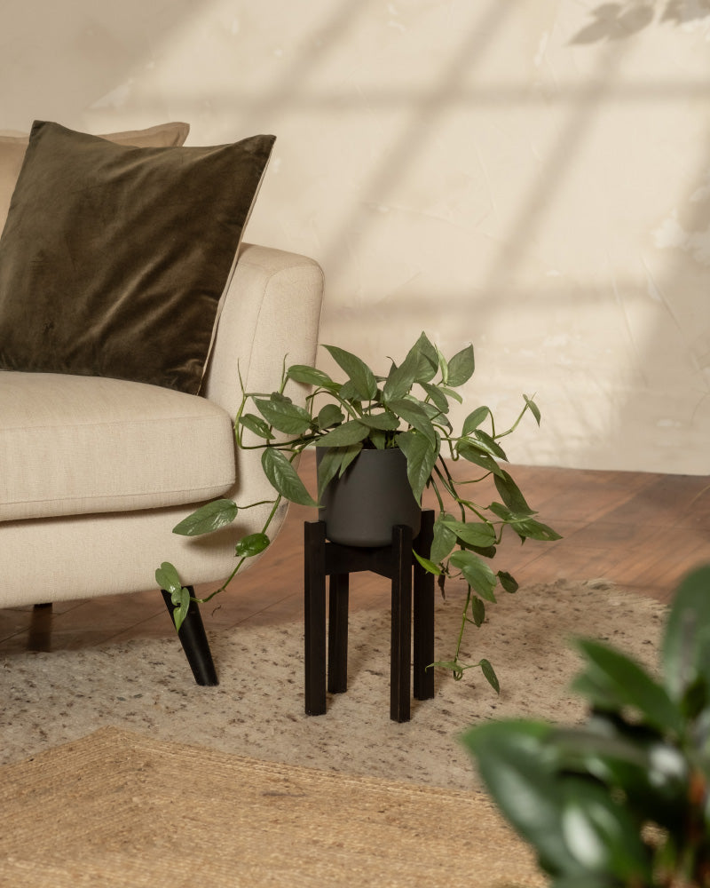 Pflanzenständer (Stelion | 16 cm Ø)