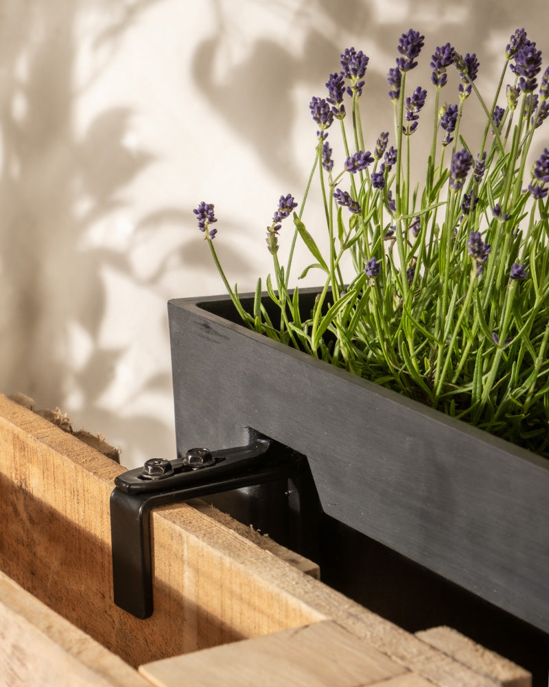 Ein Pflanzkasten für Geländer (Brügge | 48 cm) mit violetter Lavendelblüte hängt an einem Holzgeländer. Sonnenlicht wirft die Schatten der Blumen auf die weiße Wand im Hintergrund.
