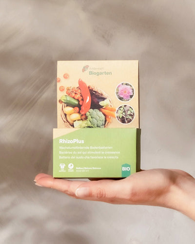RhizoPlus wachstumsfördernde Bodenbakterien