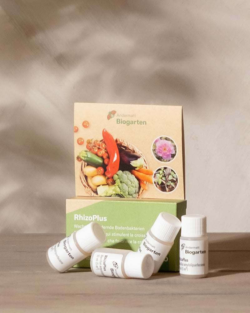 RhizoPlus wachstumsfördernde Bodenbakterien