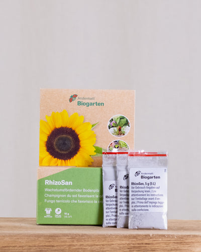 RhizoSan Verpackung und Inhalt – drei Plastikbeutel mit RhizoSan Pulver vor beigem Hintergrund. 