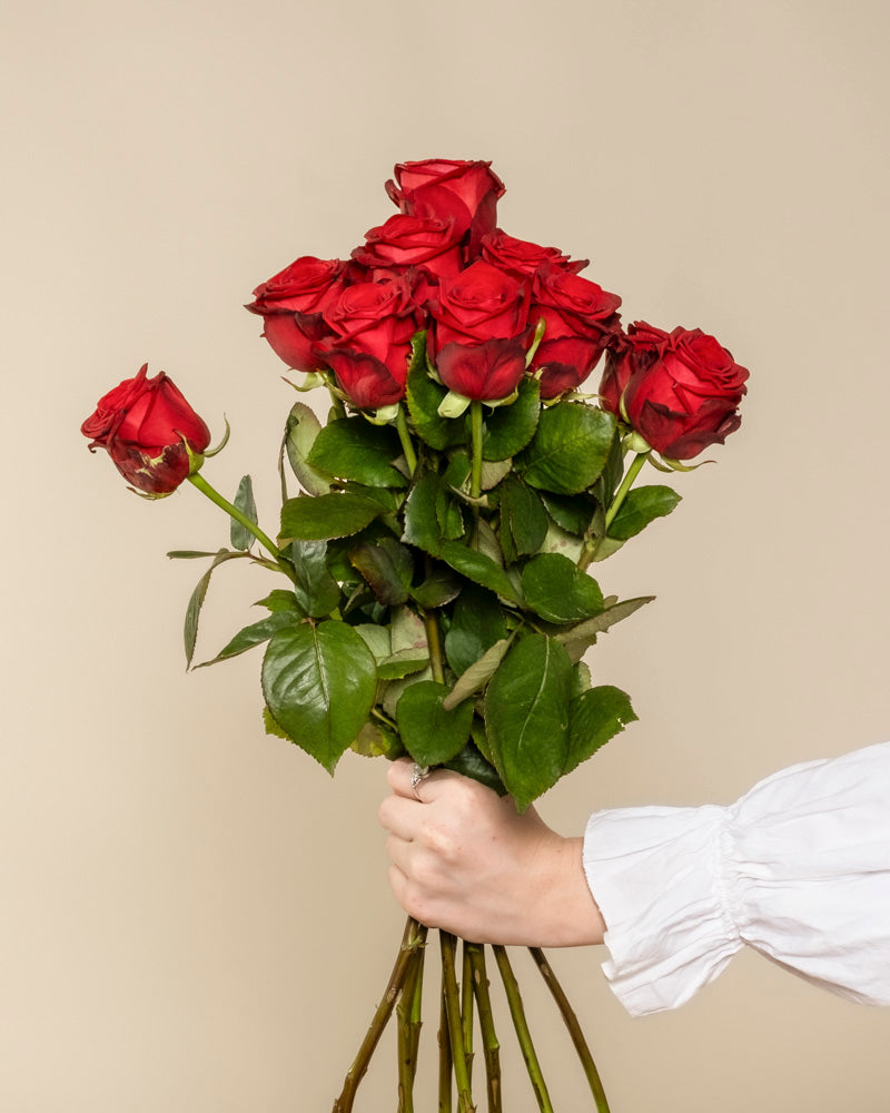 Eine Hand in einem weißen, langärmeligen Hemd hält den Blumenstrauß "Rote Rosen" - ein klassisches Symbol der Liebe mit grünen Blättern - vor einem schlichten beigen Hintergrund.