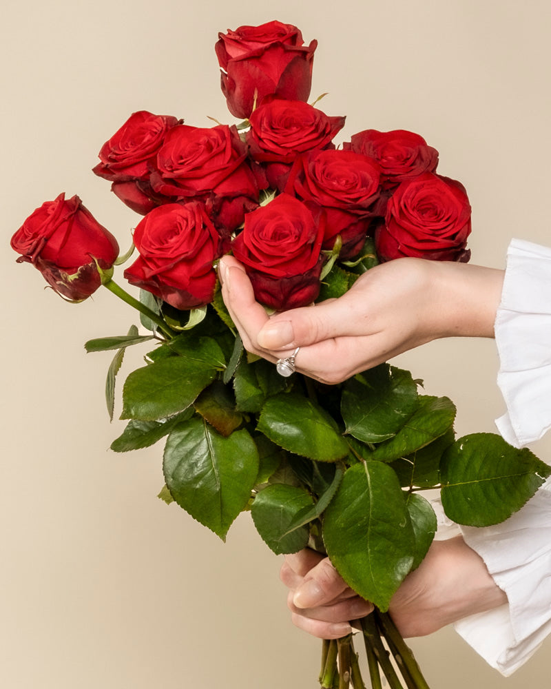 Eine Person in weißen Rüschenärmeln hält einen Strauß Rote Rosen mit grünen Blättern - ein Klassiker und der perfekte Ausdruck der Liebe vor einem neutralen Hintergrund.