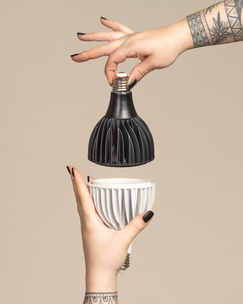 Zwei tätowierte Hände mit schwarzem Nagellack halten eine schwarze Pflanzenlampe über einer passenden weißen Glühbirne vor einem beigen Hintergrund, als wollten sie sie verbinden oder vertauschen.