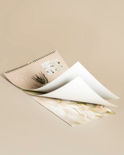 Ein spiralgebundener Pflanzenkalender liegt aufgeschlagen auf einer beigen Oberfläche und zeigt zarte Pastellbilder und ein kompaktes Monatskalendarium. Die gewellten Seiten zeigen Blumen- und Pflanzenmotive - ein ideales Geschenk für Pflanzenfans.