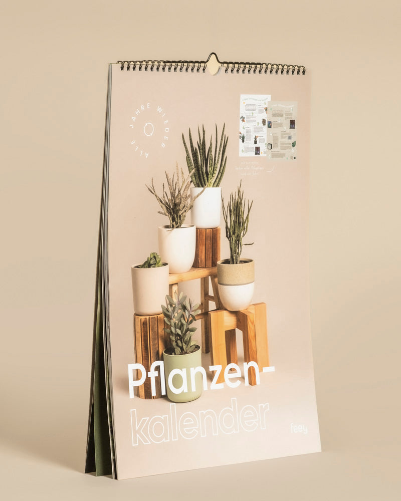 Der "Pflanzenkalender" ist ein pflanzenthematischer, immerwährender Kalender mit Topfpflanzen auf Holzklötzen vor einem beigen Hintergrund. Spiralgebunden und aufrecht - ein ideales Geschenk für Pflanzenfans.