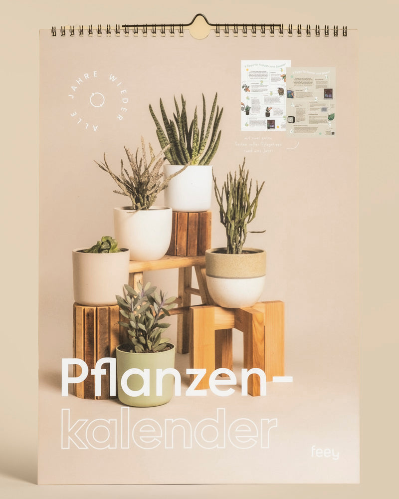Der Wandkalender "Pflanzenkalender" zeigt acht Topfpflanzen auf Holzständern in Beige, mit einer Innenseitenvorschau - ein idealer immerwährender Kalender und Geschenk für Pflanzenfans.