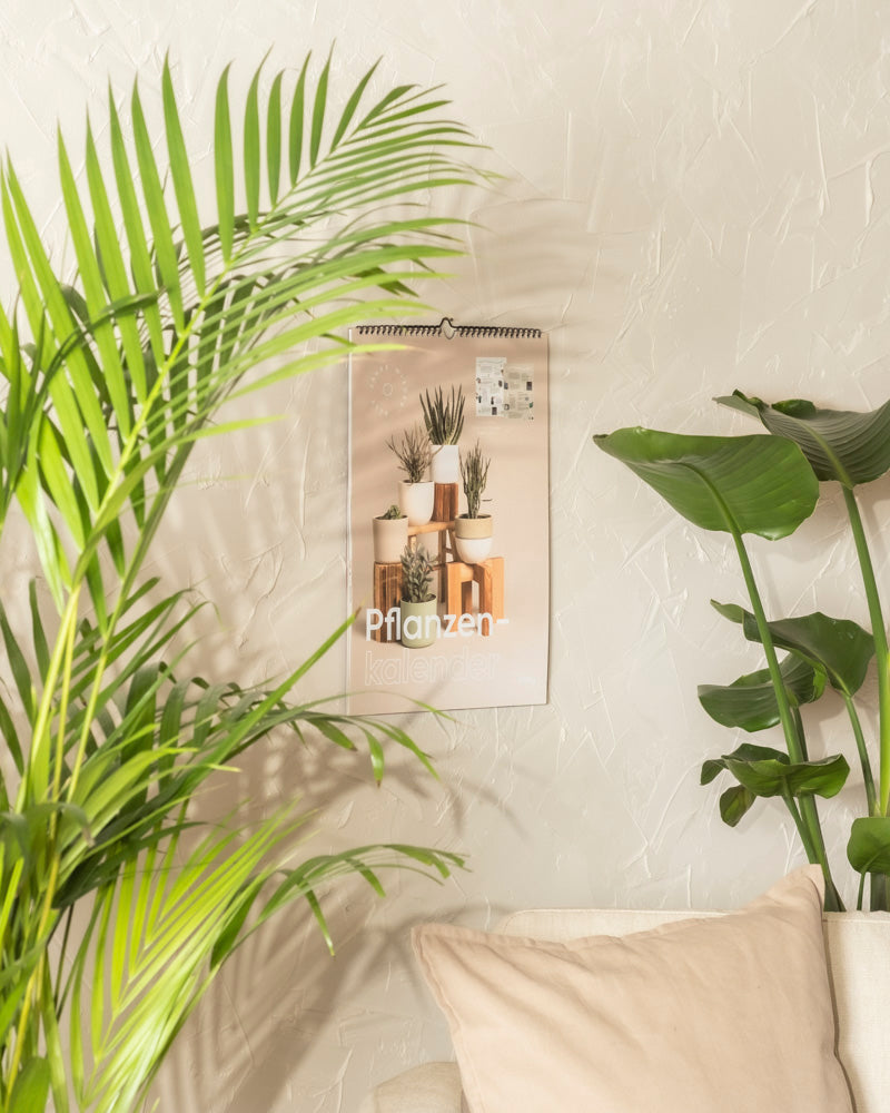 Ein gemütliches Zimmer mit grünen Topfpflanzen neben einem beigen Sofa und einem Pflanzenkalender mit Pflanzenbildern, der an einer strukturierten hellen Wand hängt - ein ideales Geschenk für Pflanzenfans und Liebhaber von Zimmerpflanzen Pflege.
