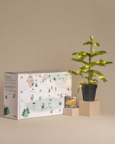 Weihnachts-Set