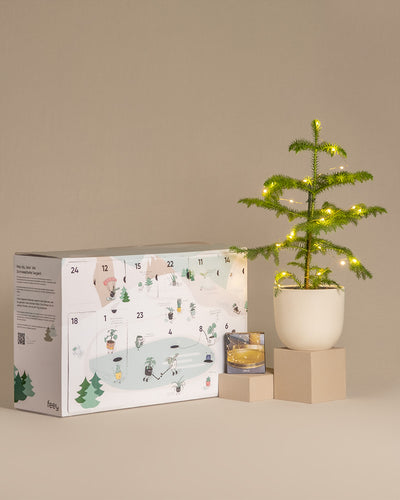 Weihnachts-Set