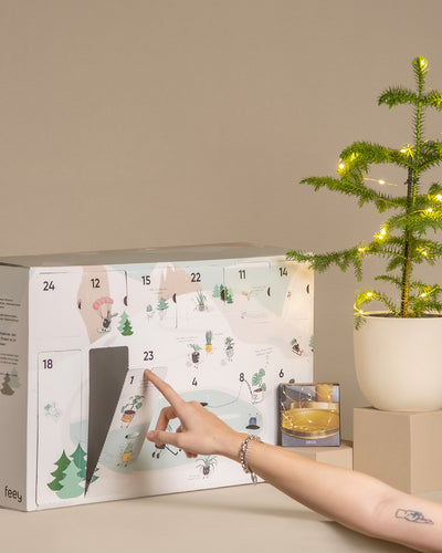 Weihnachts-Set