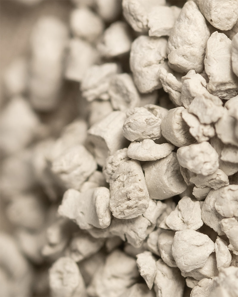 Nahaufnahme zahlreicher beigefarbener, unregelmäßiger Brocken mit einer rauen, porösen Textur, die an trockene Mineralienstücke erinnert - möglicherweise ein mit Wurzelbooster angereichertes Medium zur Unterstützung des Pflanzenwachstums.