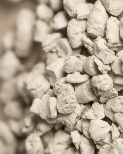 Nahaufnahme zahlreicher beigefarbener, unregelmäßiger Brocken mit einer rauen, porösen Textur, die an trockene Mineralienstücke erinnert - möglicherweise ein mit Wurzelbooster angereichertes Medium zur Unterstützung des Pflanzenwachstums.